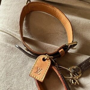 Louis Vuitton dog leash and collar.
